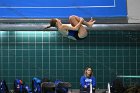 Diving vs USCGA  Wheaton College Swimming & Diving vs US Coast Guard Academy. - Photo By: KEITH NORDSTROM : Wheaton, Swimming, Diving